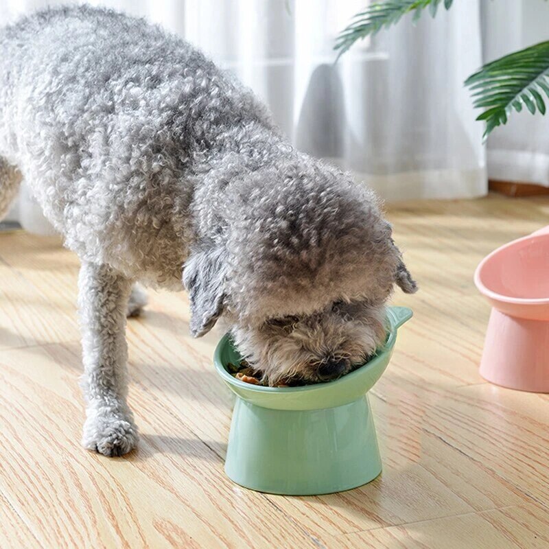 Cat and Dog Food Bowl with Neck Protector