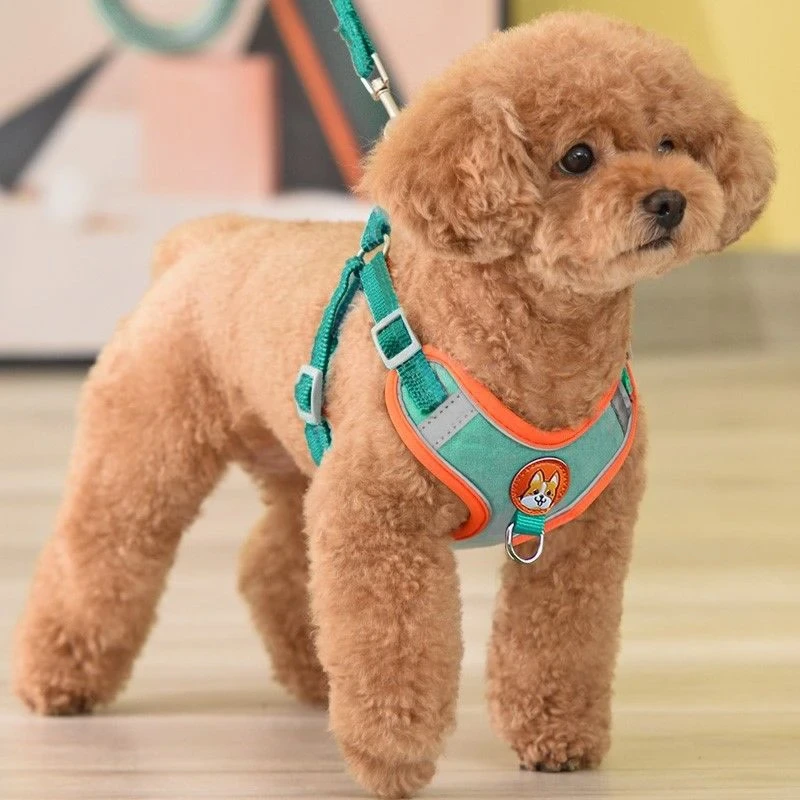 No pull best sale running dog harness