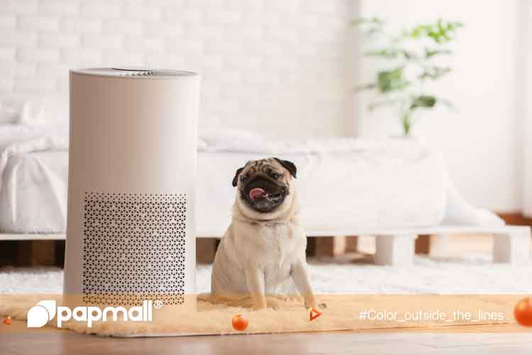Best Air Purifiers Buying Guide For Small Spaces