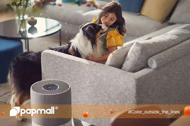 More and more people decide to buy Philips air purifiers for their beloved homes and people