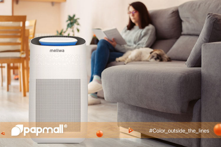 When choosing an air purifier for pets, energy consumption is a significant aspect that must be carefully considered.