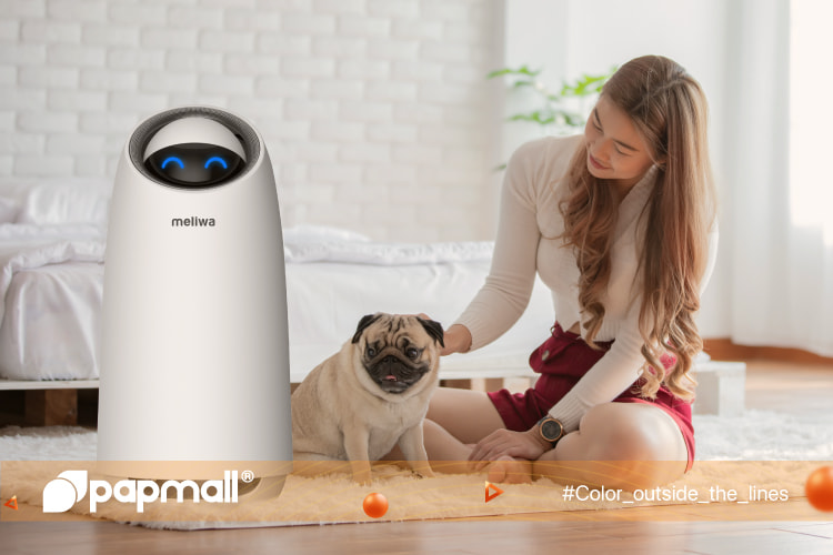 When choosing the finest air purifier for pets, or any air purifier for that matter, the Clean Air Delivery Rate (CADR) is a crucial factor to take into account.